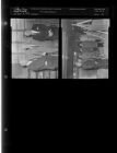 Misc. photos (2 Negatives (December 8, 1959) [Sleeve 31, Folder d, Box 19]